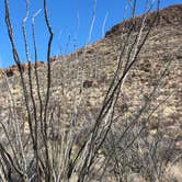 Review photo of Interior Primitive Sites — Big Bend Ranch State Park by Jacob K., June 29, 2020