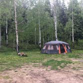Review photo of San Juan National Forest Williams Creek Campground by Jacob K., June 29, 2020