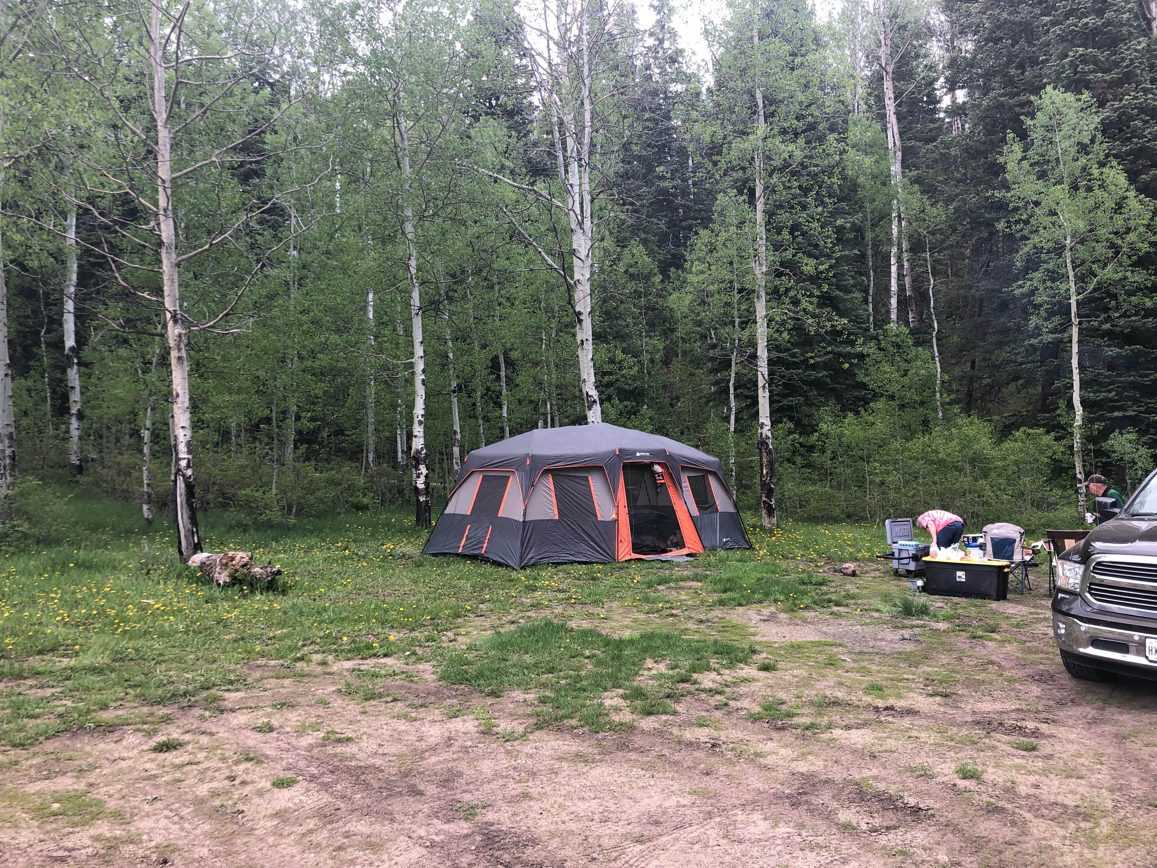 Camper submitted image from San Juan National Forest Williams Creek Campground - 5