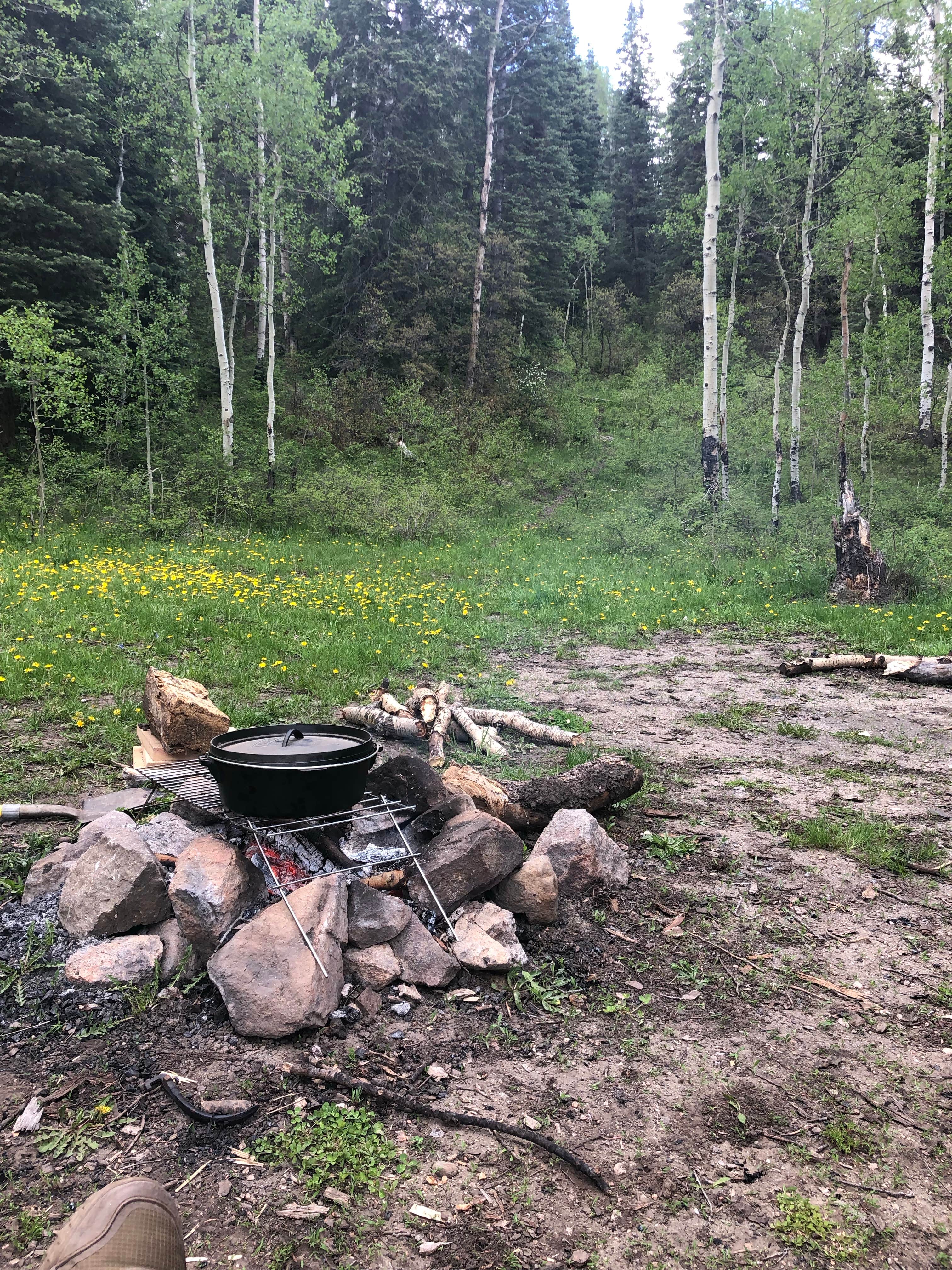 Camper submitted image from San Juan National Forest Williams Creek Campground - 4