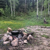 Review photo of San Juan National Forest Williams Creek Campground by Jacob K., June 29, 2020
