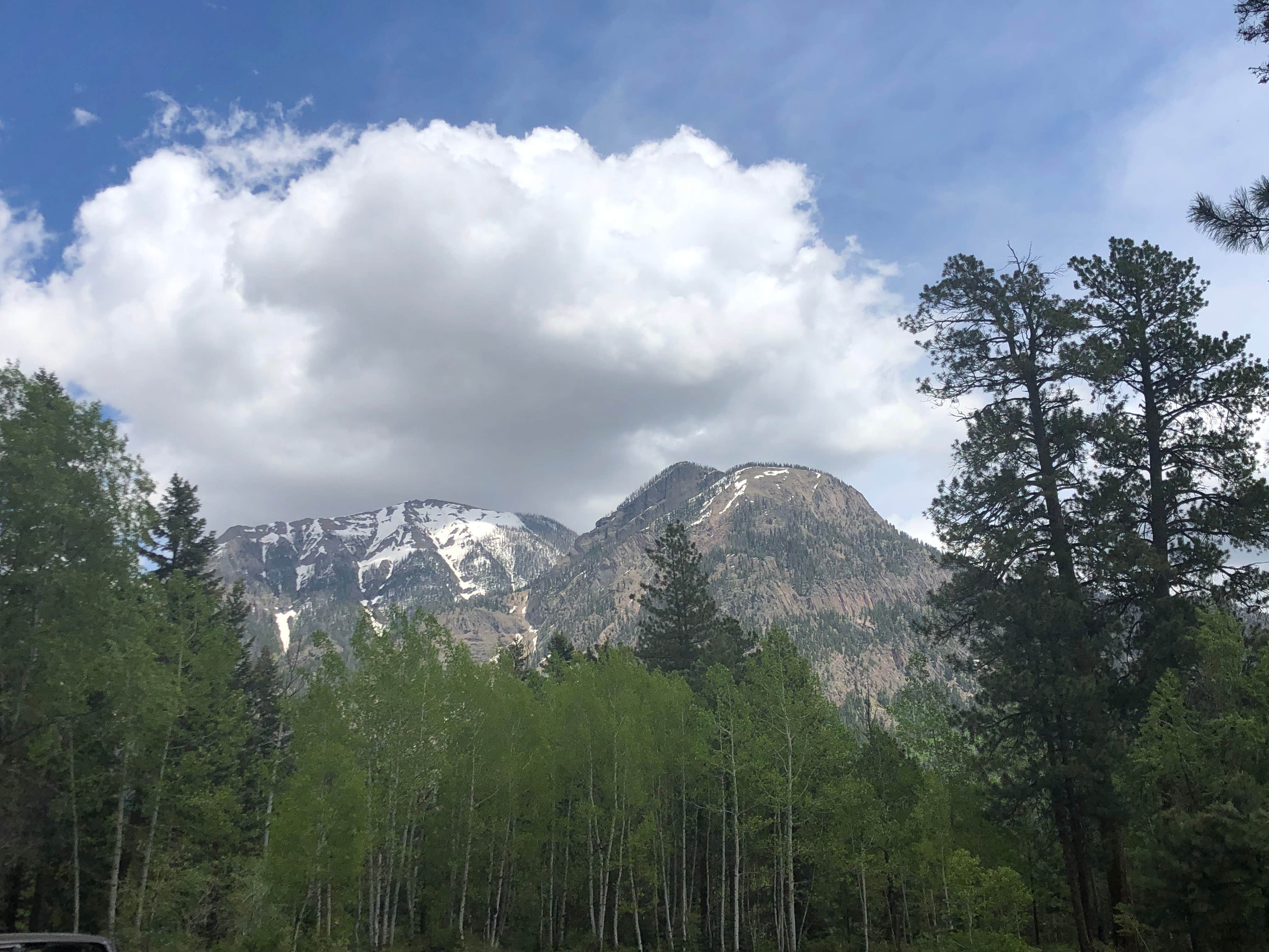 Camper submitted image from San Juan National Forest Williams Creek Campground - 5