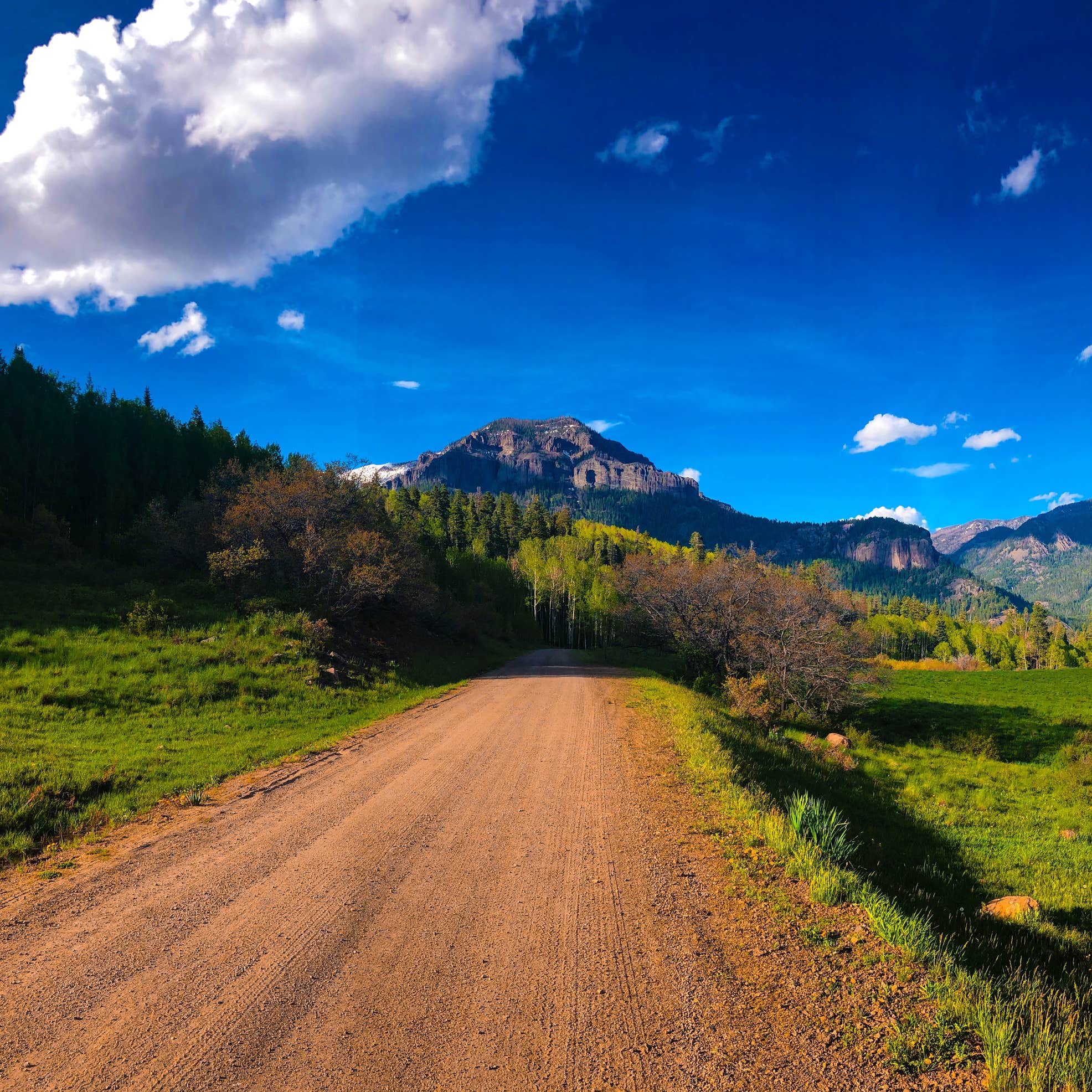 San Juan National Forest Williams Creek Campground Camping The Dyrt