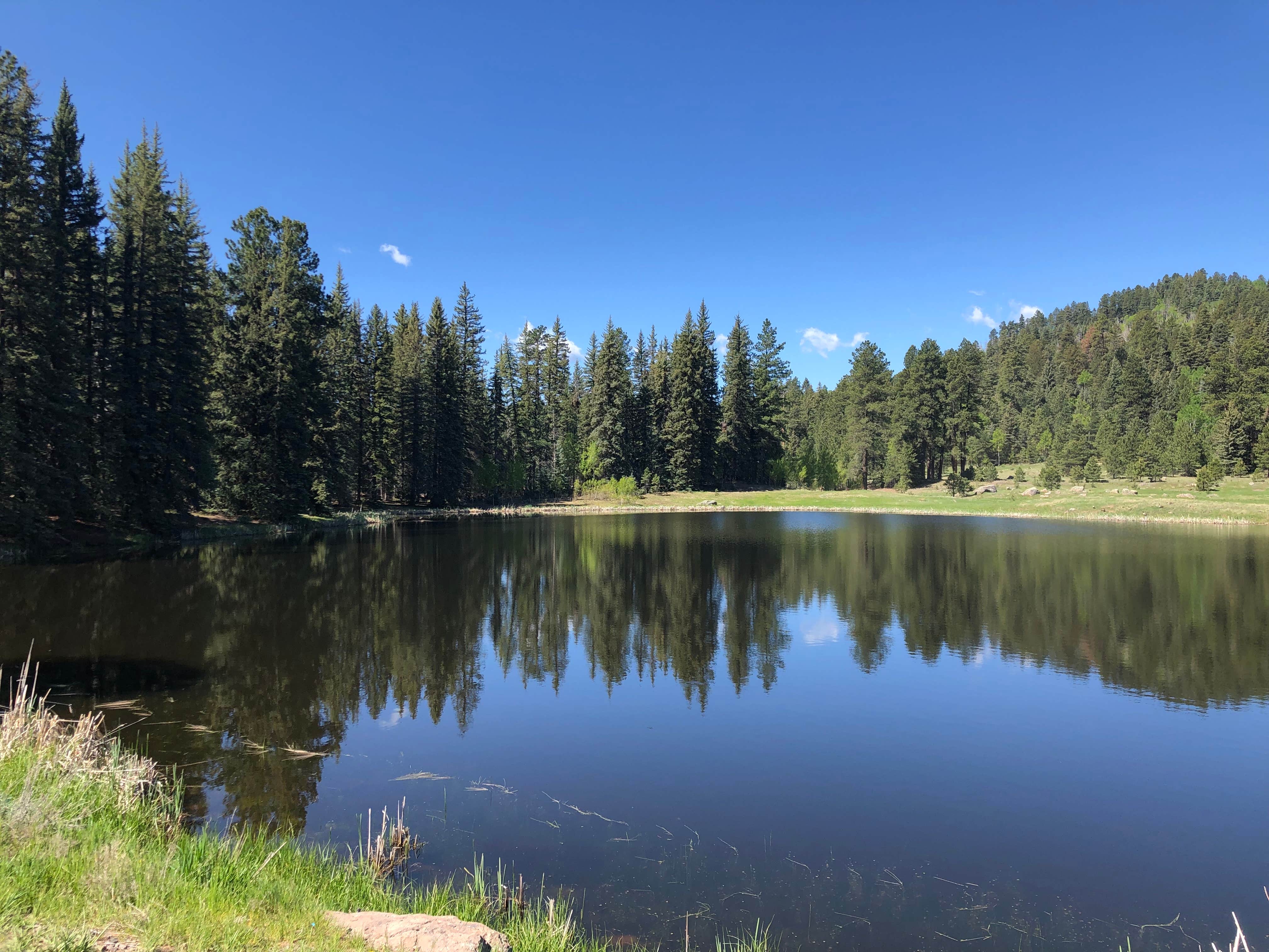 Camper submitted image from San Juan National Forest Williams Creek Campground - 3