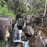 Review photo of San Juan National Forest Williams Creek Campground by Jacob K., June 29, 2020