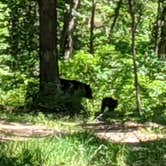 Review photo of Little Scotia Pond by Dave N., June 29, 2020