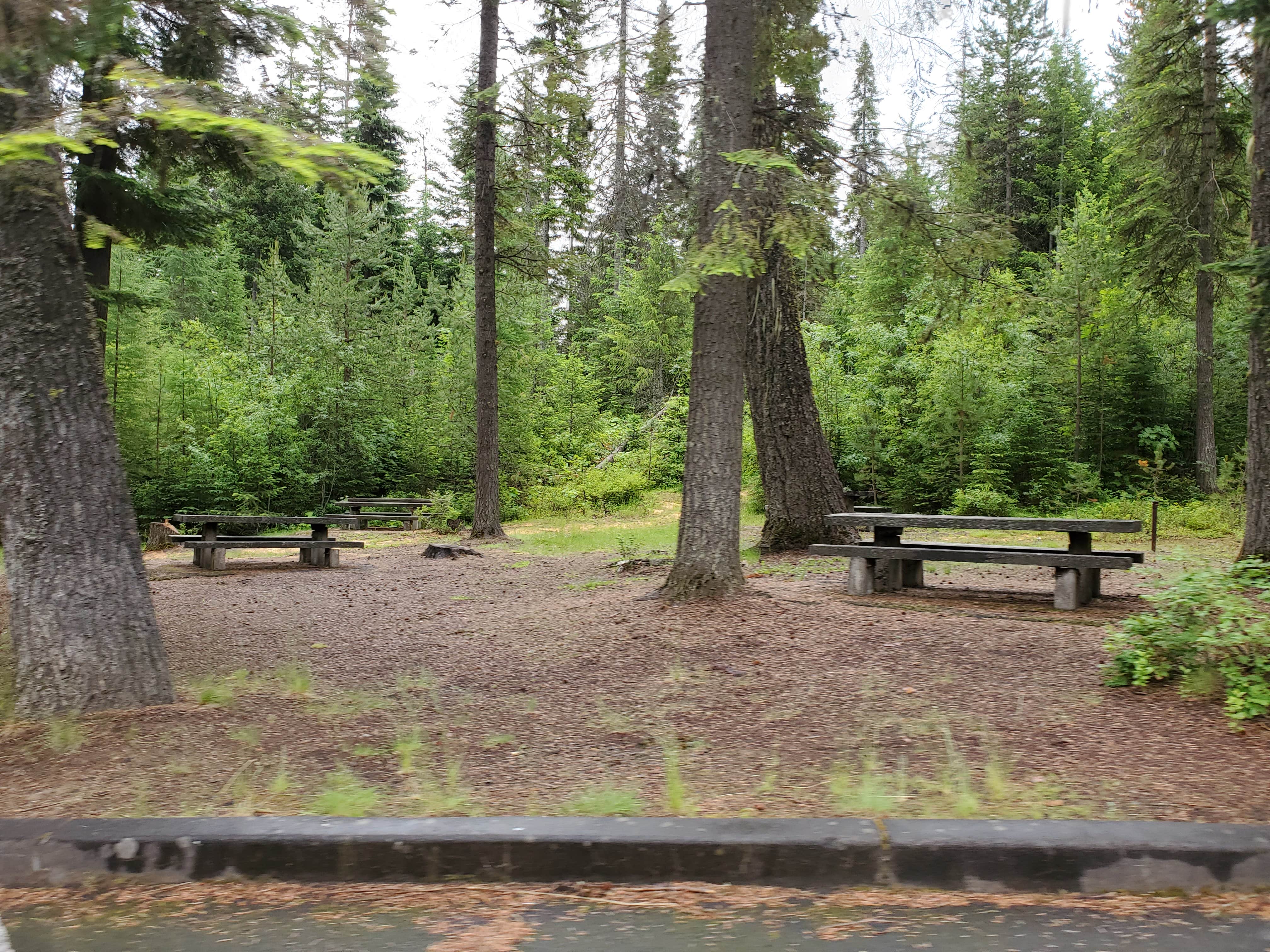 Camper-submitted photo at Emigrant Springs State Heritage Area near Adams, OR
