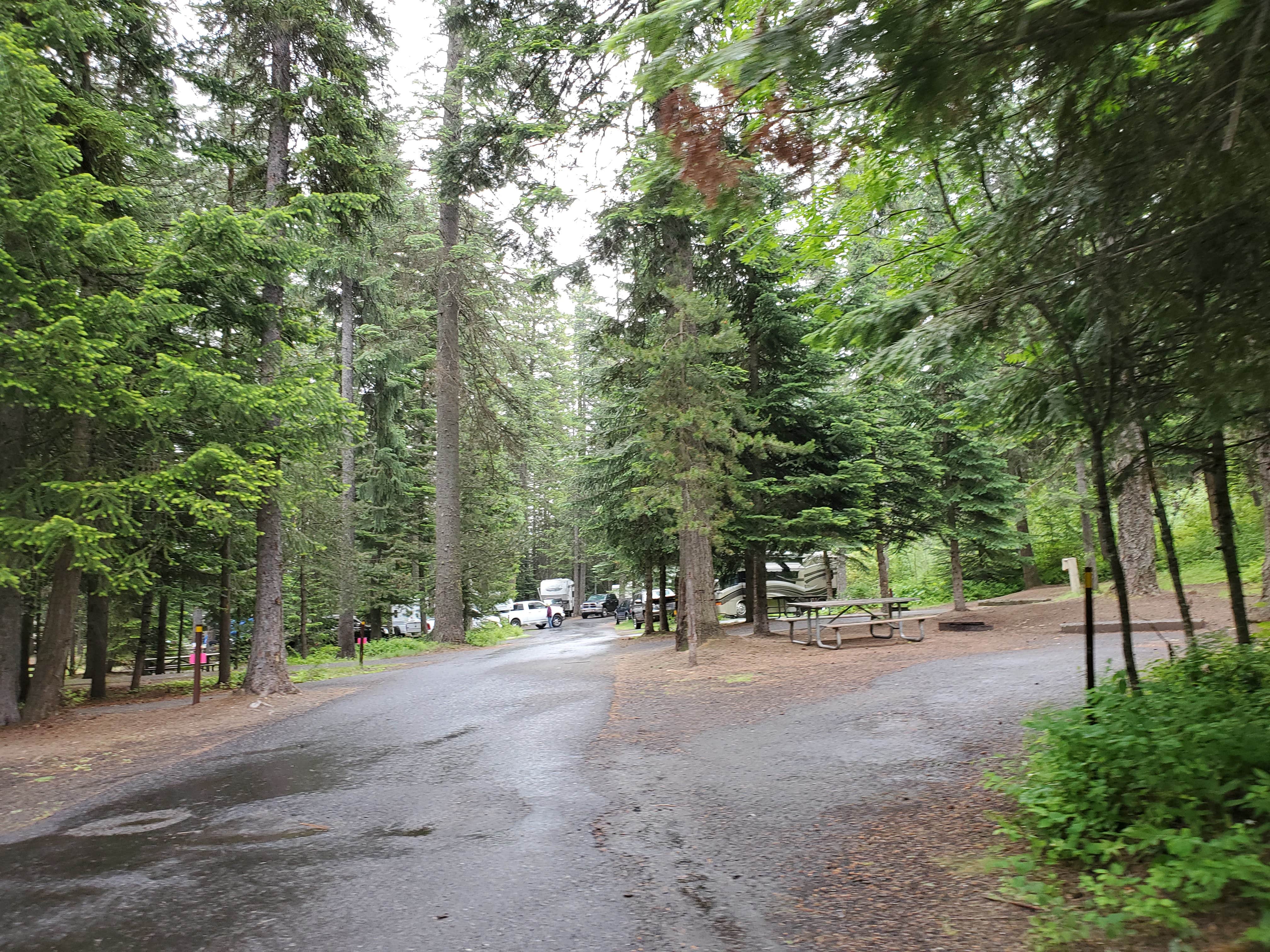 Camper-submitted photo at Emigrant Springs State Heritage Area near Adams, OR