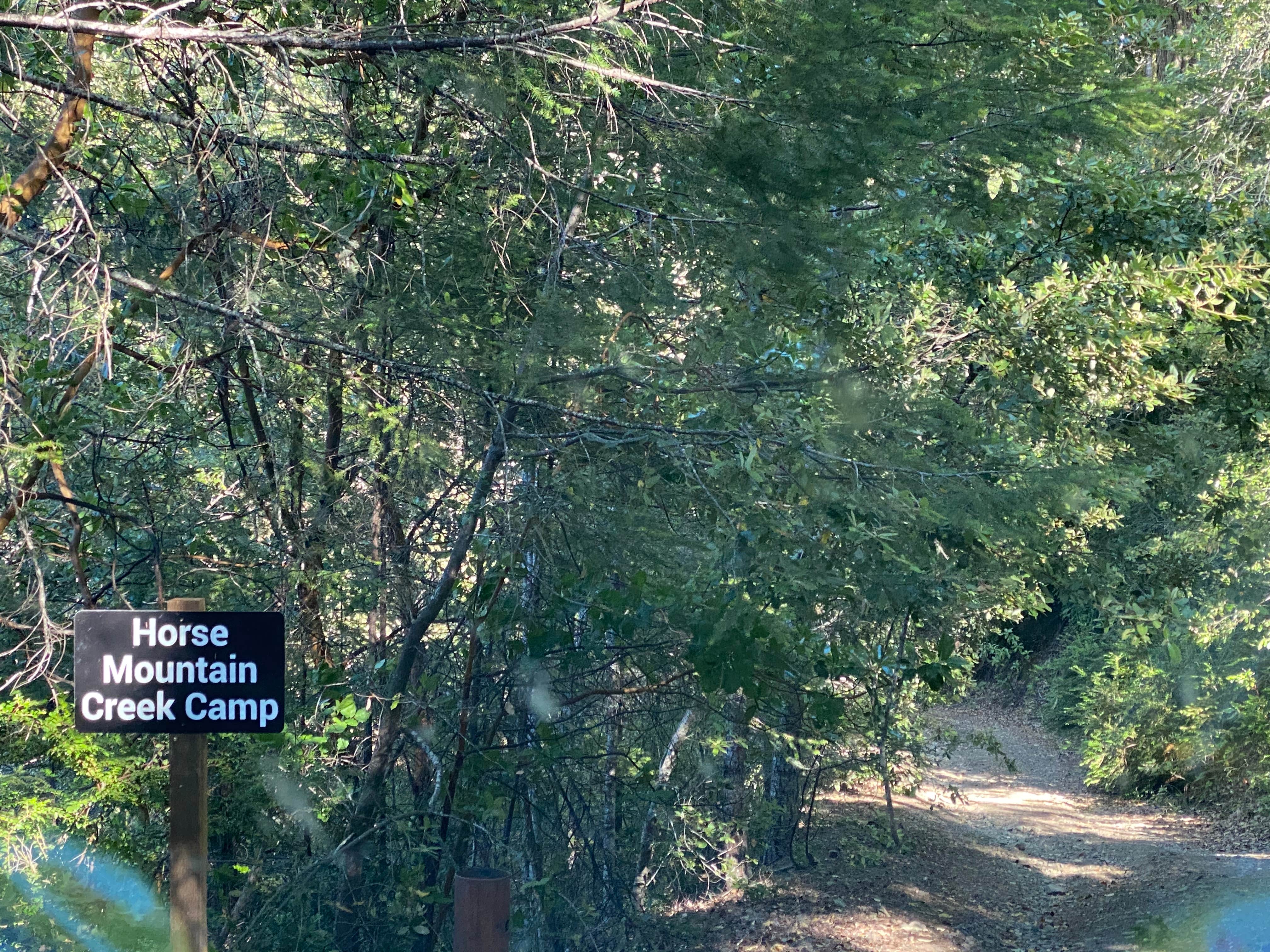 Camper-submitted photo at Horse Mountain Campground near King Range National Conservation Area