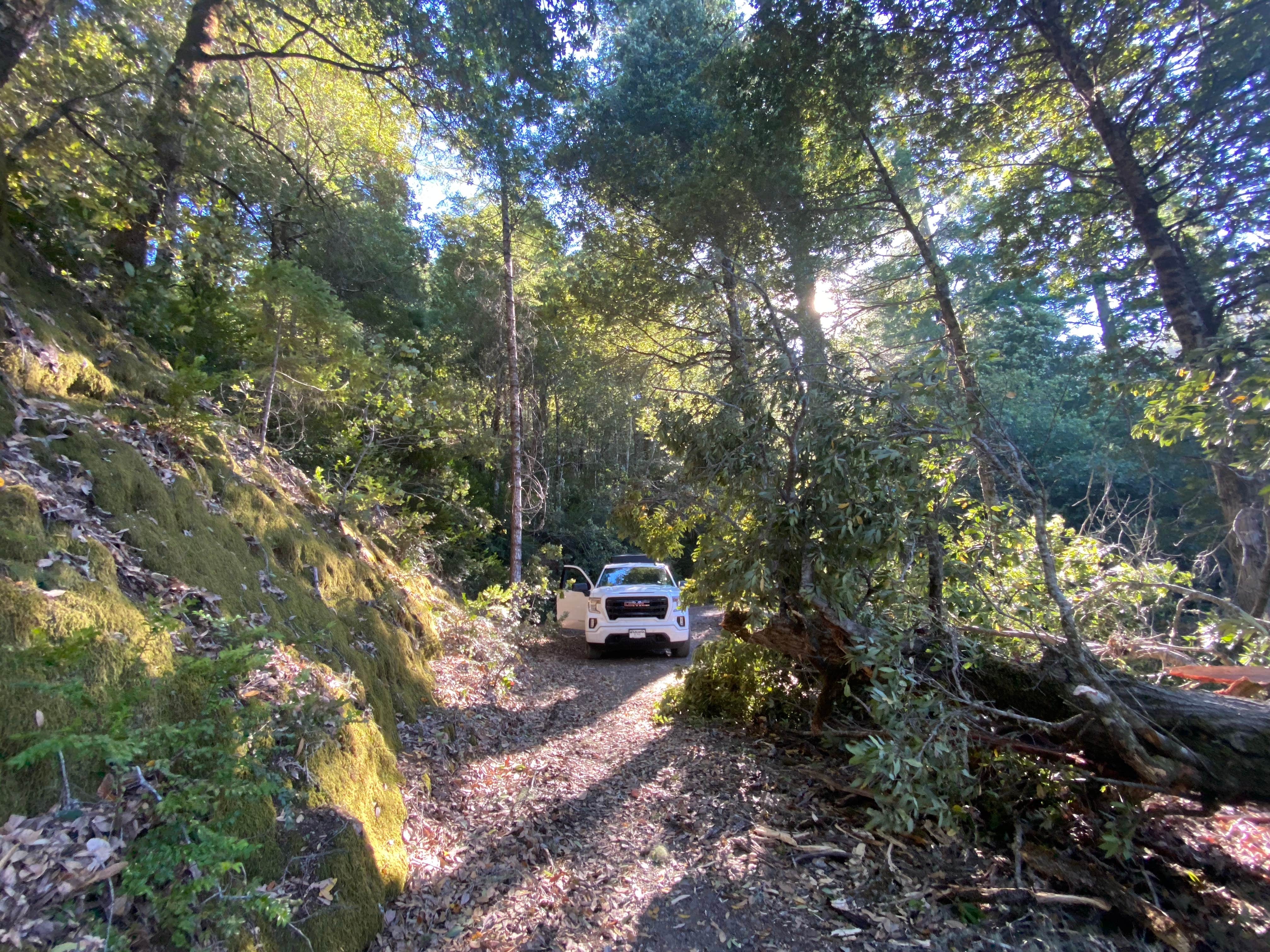 Camper-submitted photo at Horse Mountain Campground near King Range National Conservation Area