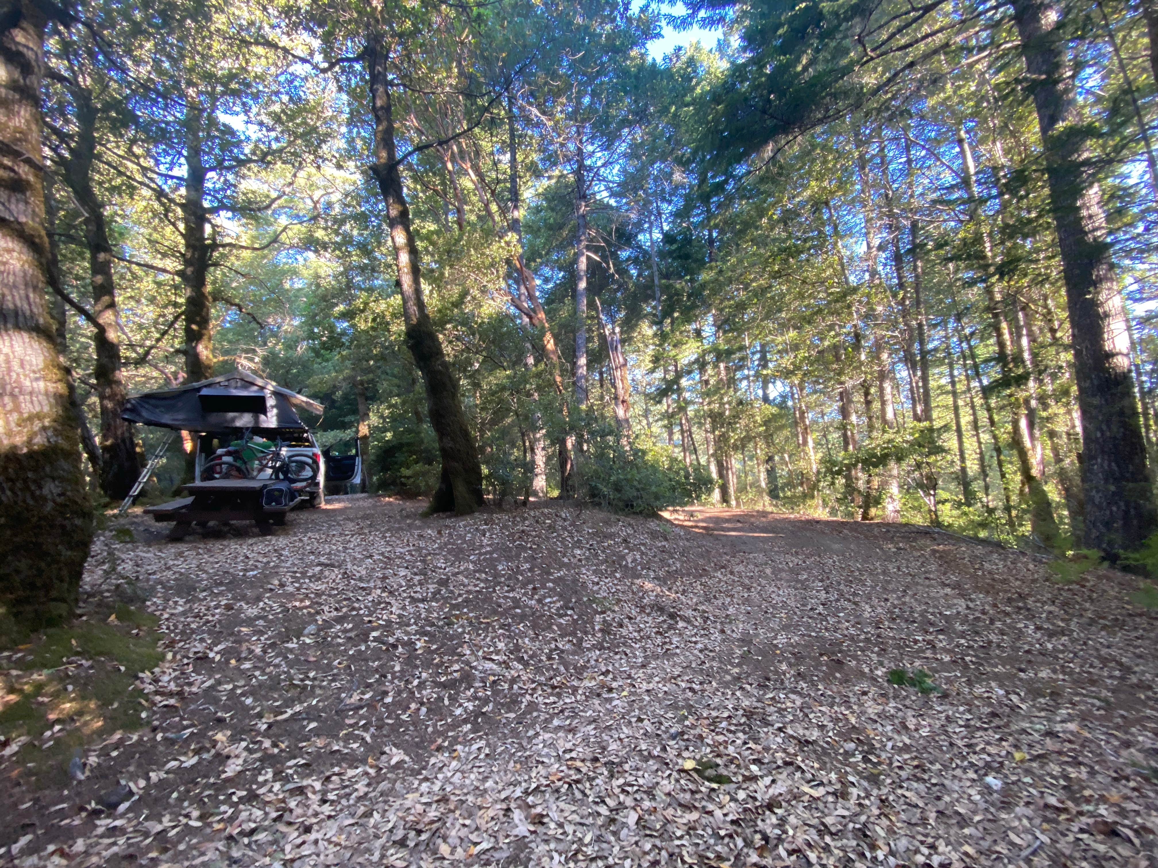 Camper-submitted photo at Horse Mountain Campground near King Range National Conservation Area