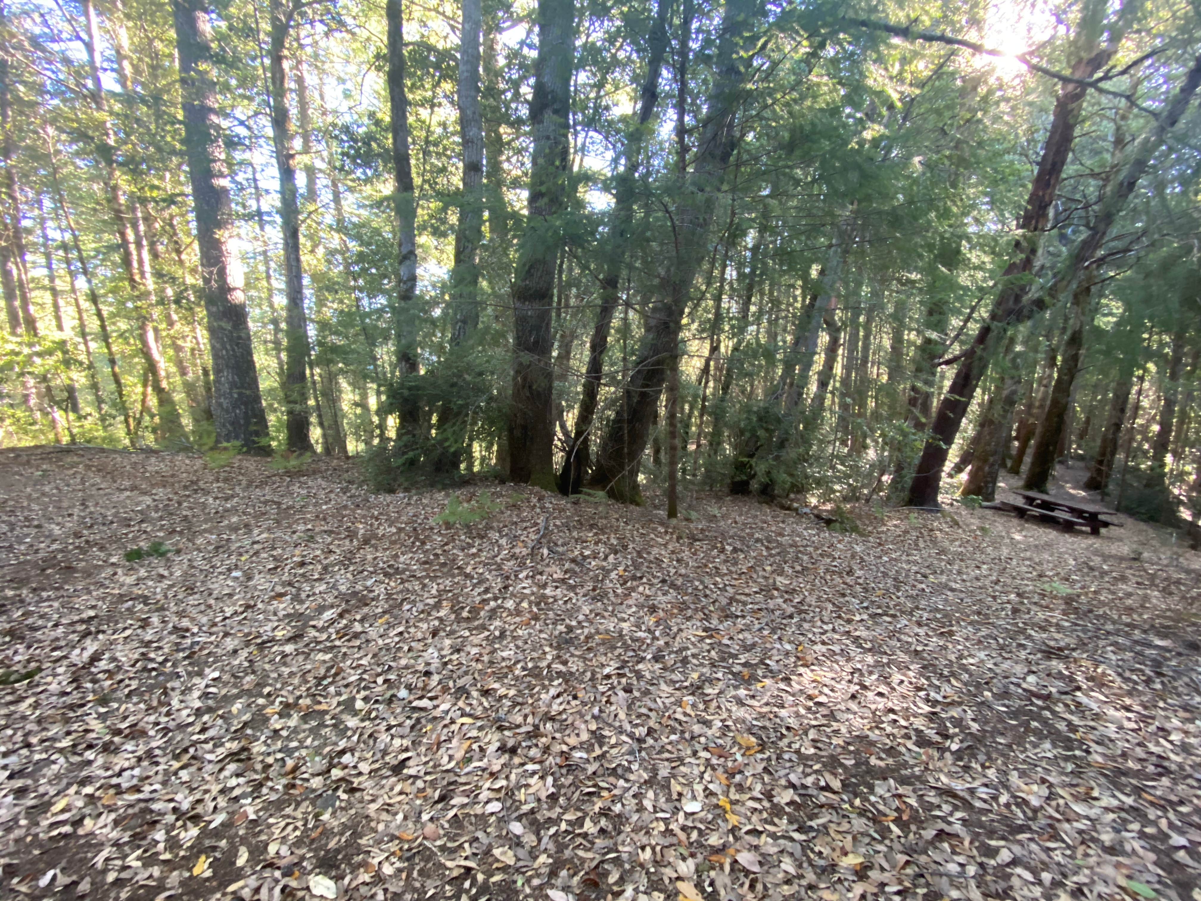 Camper-submitted photo at Horse Mountain Campground near King Range National Conservation Area