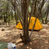 Review photo of Meridian State Park Campground by Madison L., June 29, 2020