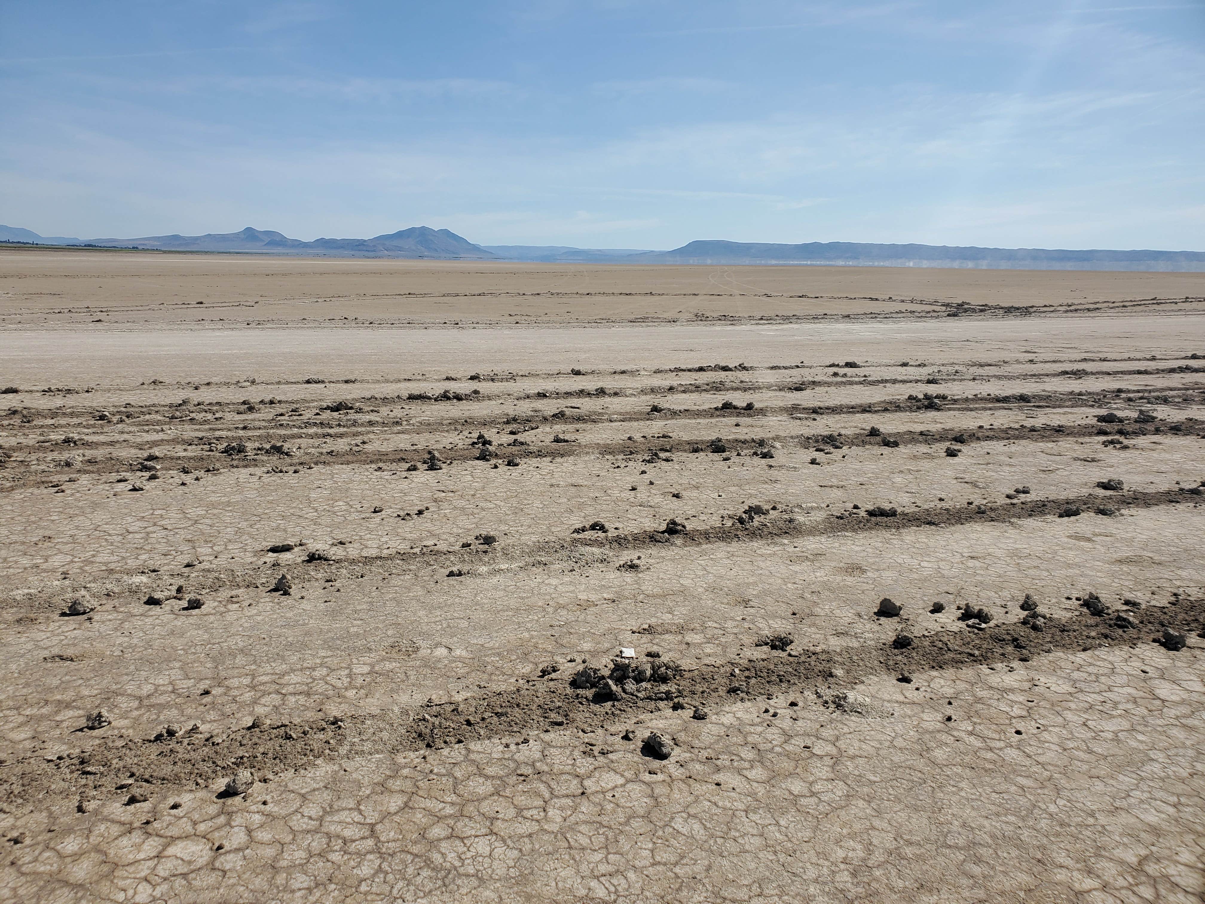 Camper submitted image from Alvord Desert - 2