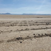 Review photo of Alvord Desert by Raphaela H., June 29, 2020