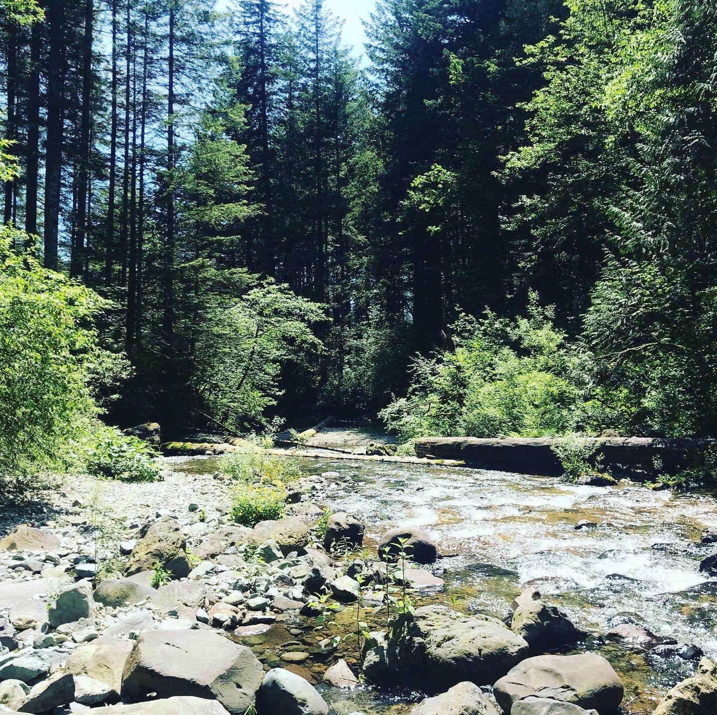 Camper-submitted photo at Dougan Creek Campground near Bridal Veil, OR