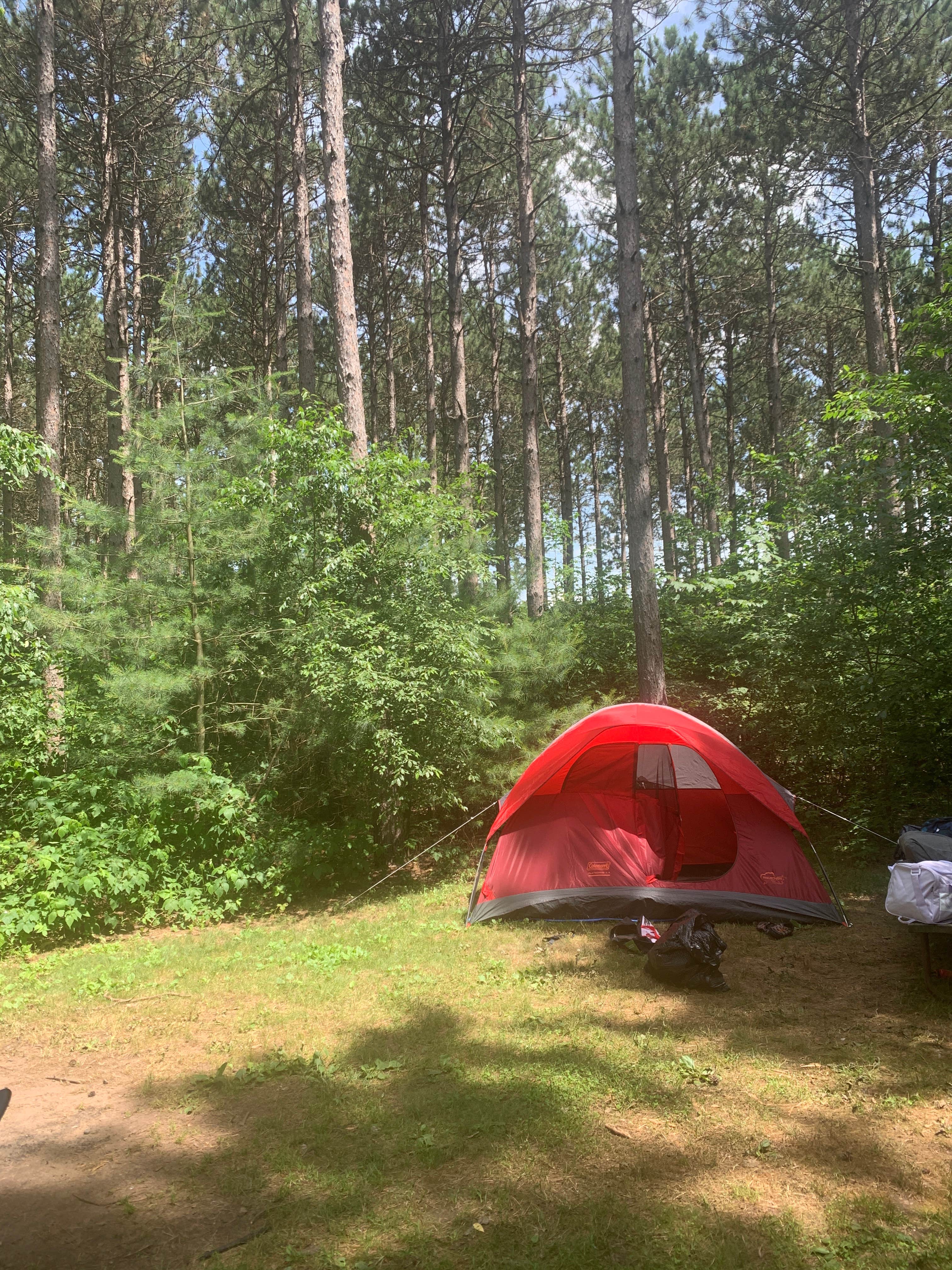 Katie N.'s photo at Lake Wissota State Park Campground near Cornell, WI