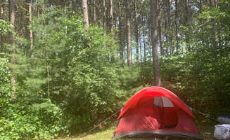 Katie N.'s photo at Lake Wissota State Park Campground near Eau Claire, WI