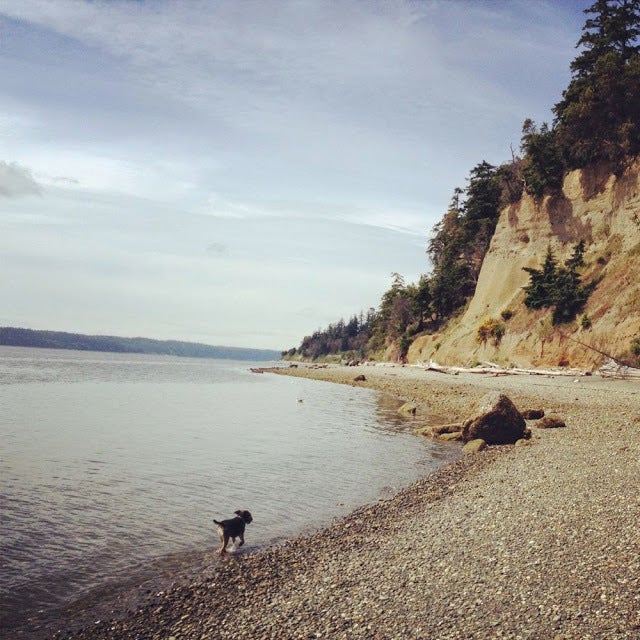 Camper submitted image from Camano Island State Park Campground - 4