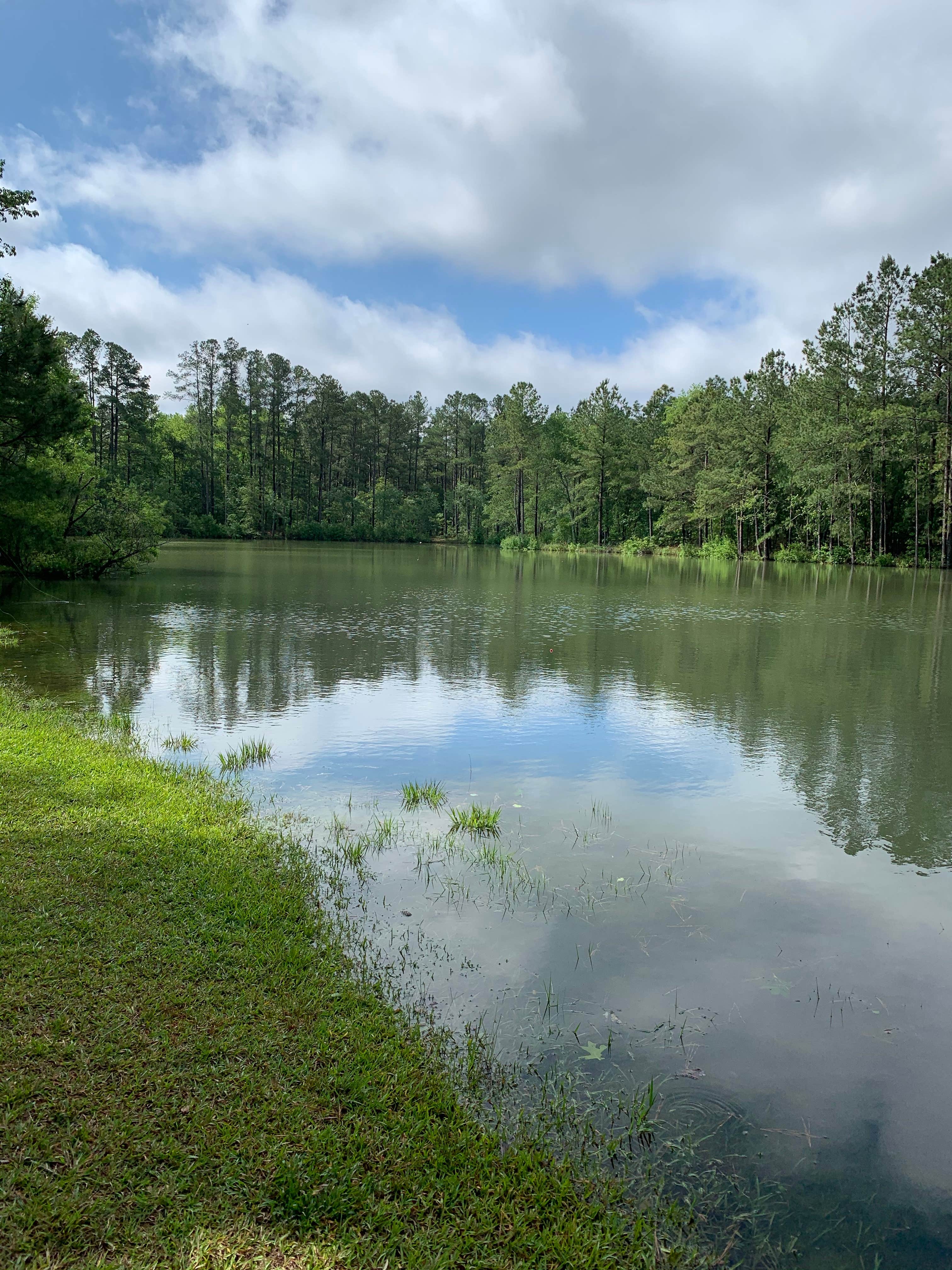 Camper submitted image from Pine Lake RV Resort - 4