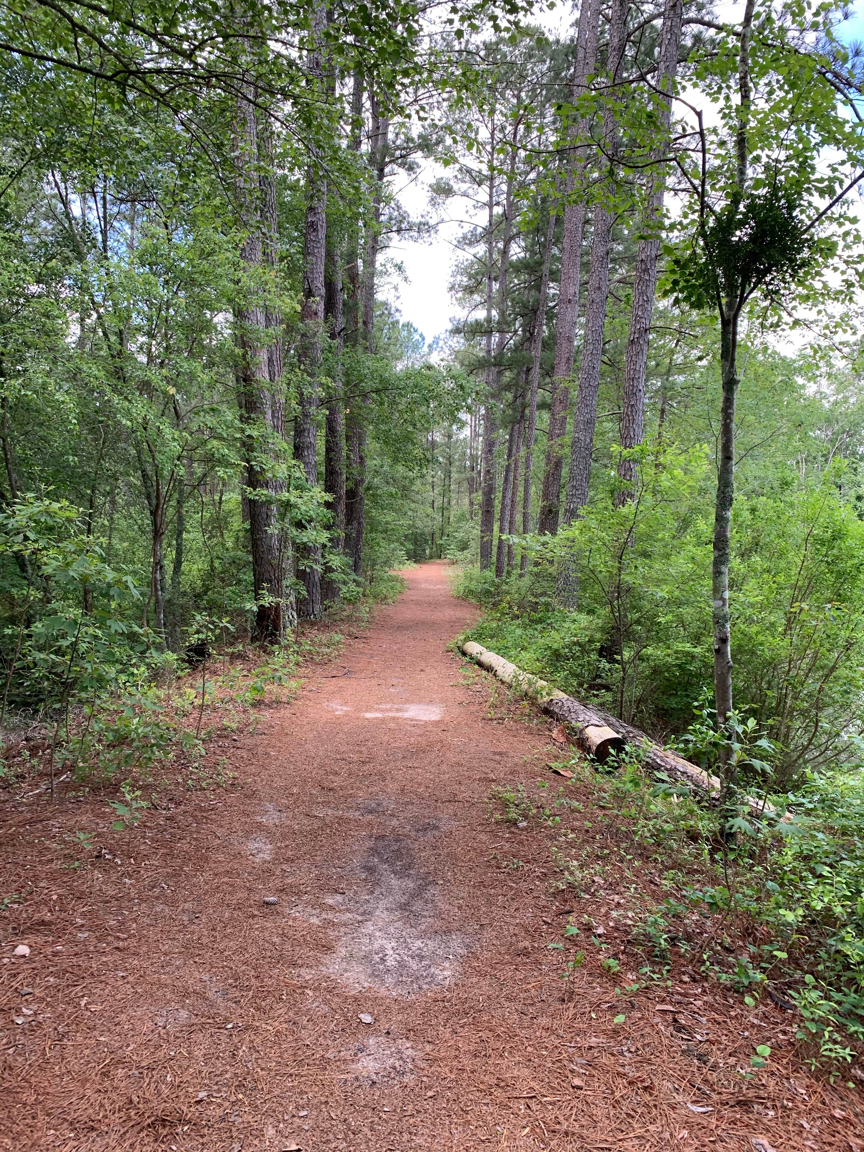 Camper-submitted photo at Pine Lake RV Resort near Rockingham, NC