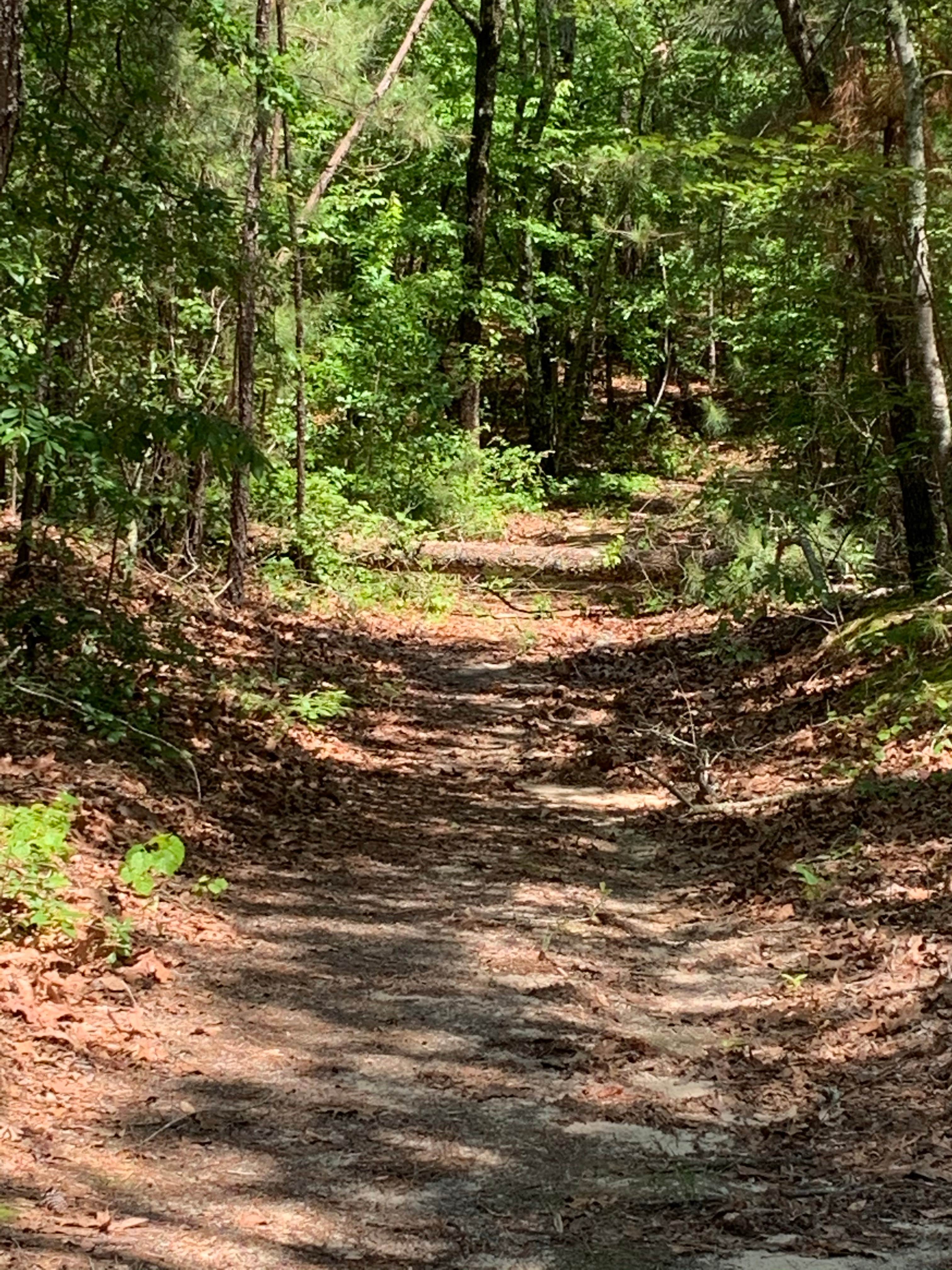 Camper-submitted photo at Pine Lake RV Resort near Spring Lake, NC