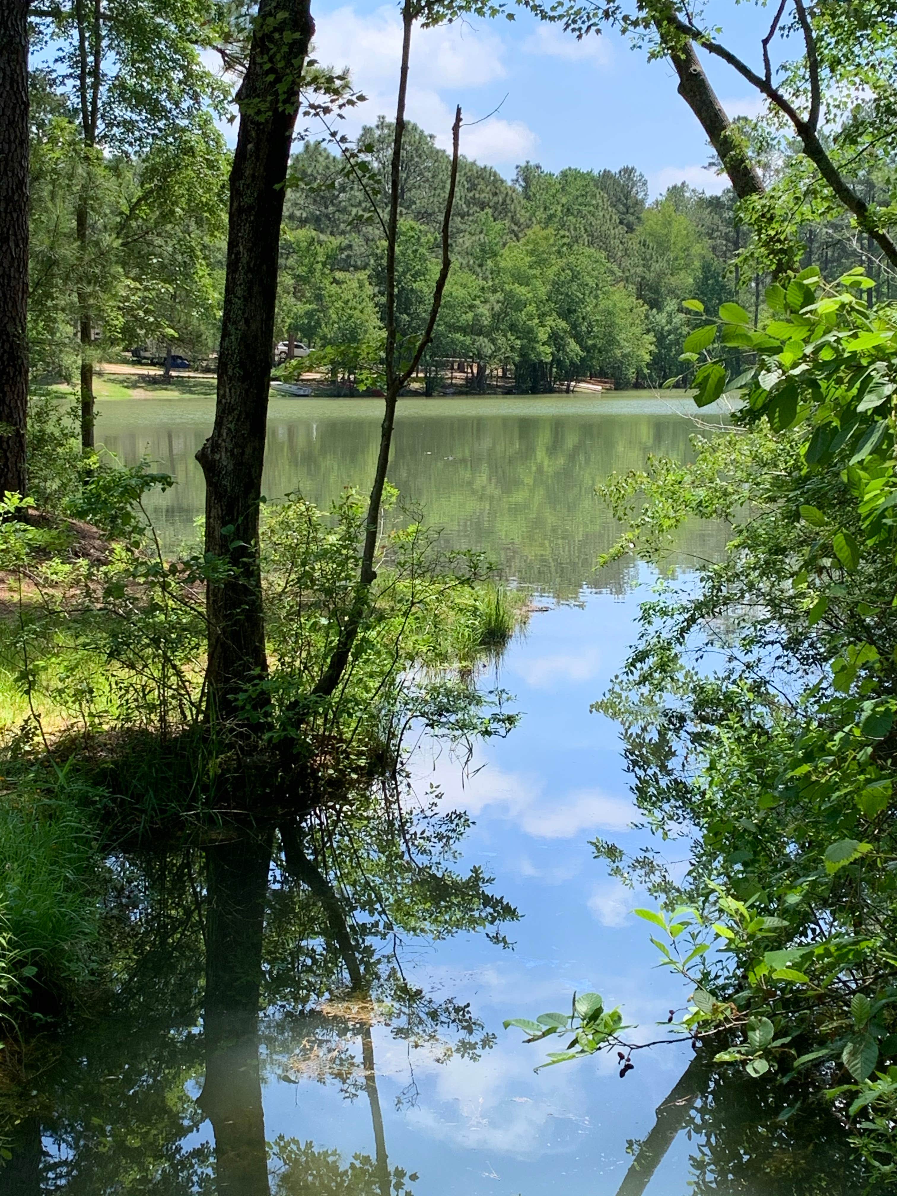 Camper-submitted photo at Pine Lake RV Resort near Spring Lake, NC
