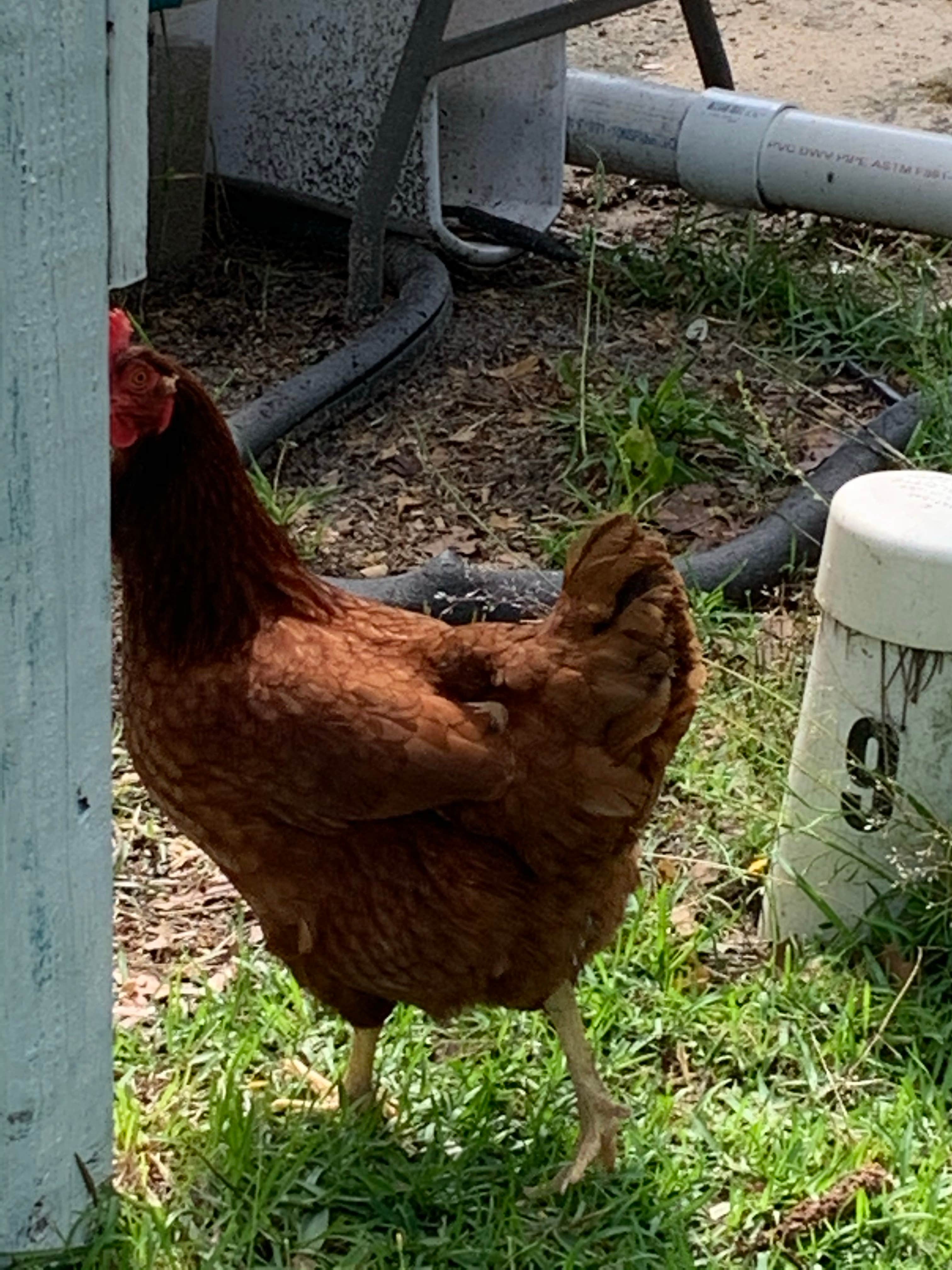 Camper-submitted photo at Pine Lake RV Resort near Spring Lake, NC