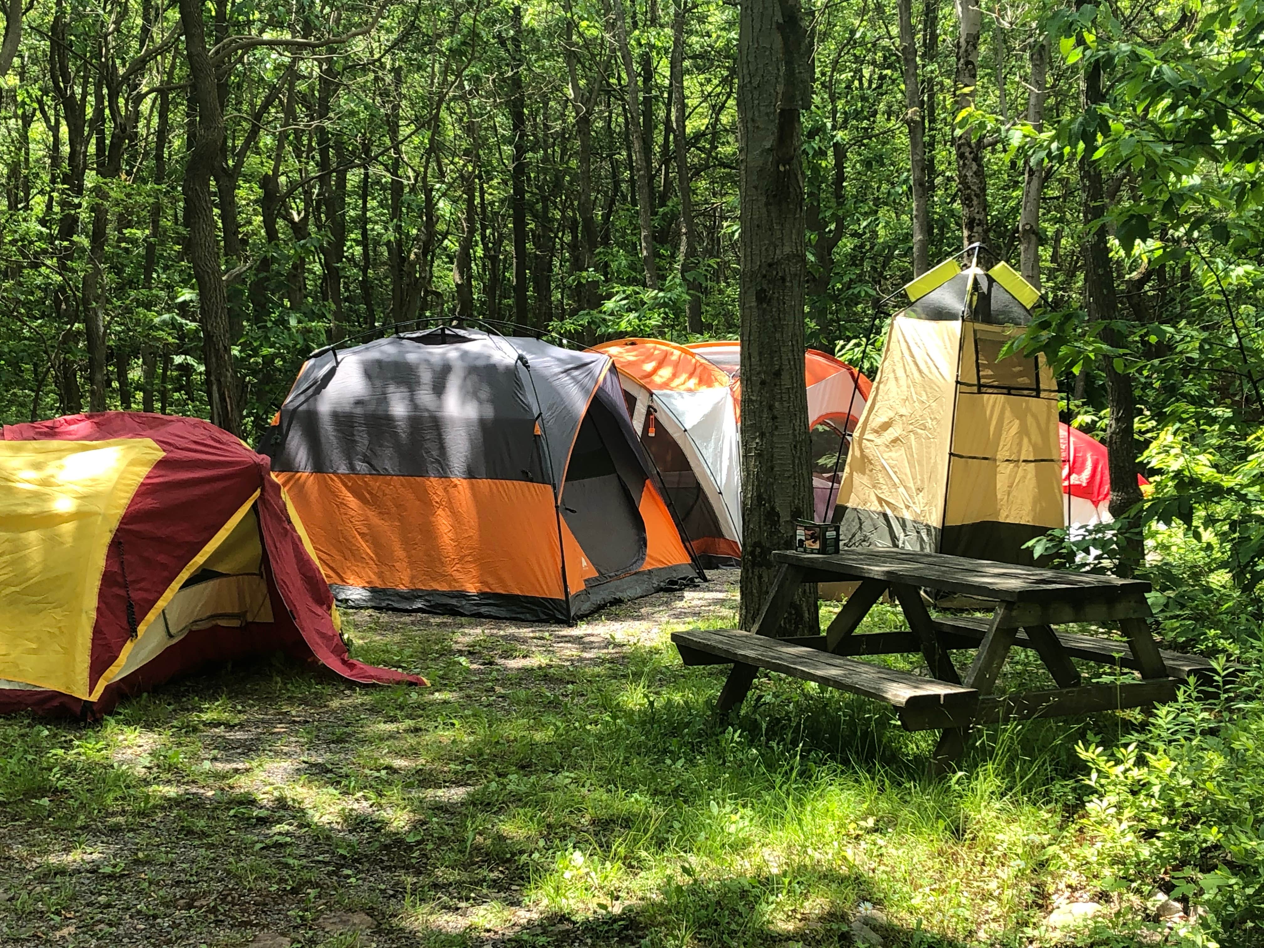 Karralee B.'s photo at Peaceful Woodlands Campground near Long Pond, PA