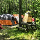 Review photo of Peaceful Woodlands Campground by Karralee B., June 29, 2020