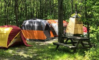 Karralee B.'s photo at Peaceful Woodlands Campground near Albrightsville, PA