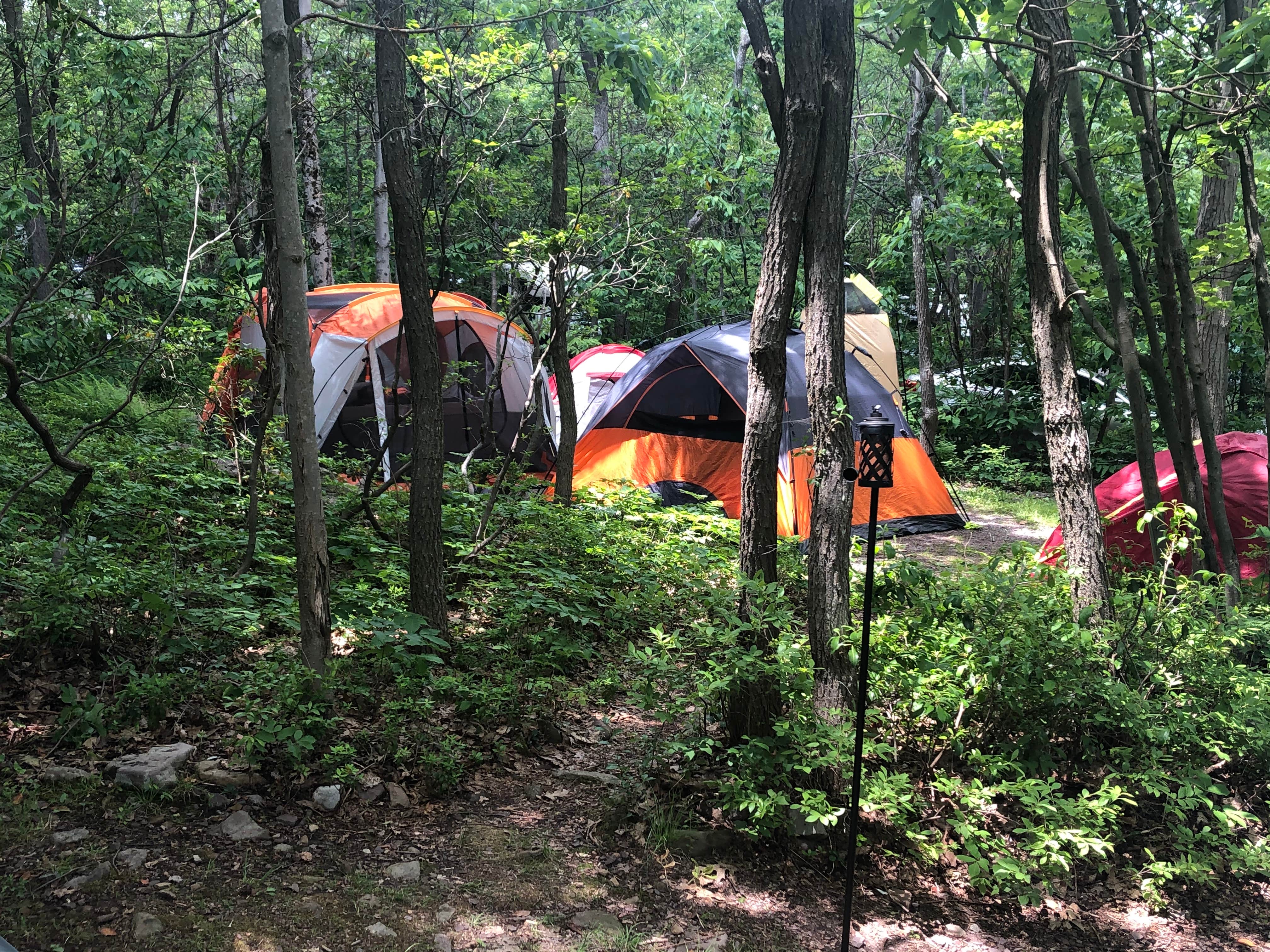Karralee B.'s photo at Peaceful Woodlands Campground near Pocono Pines, PA