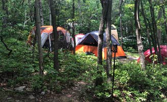 Karralee B.'s photo at Peaceful Woodlands Campground near Mount Pocono, PA