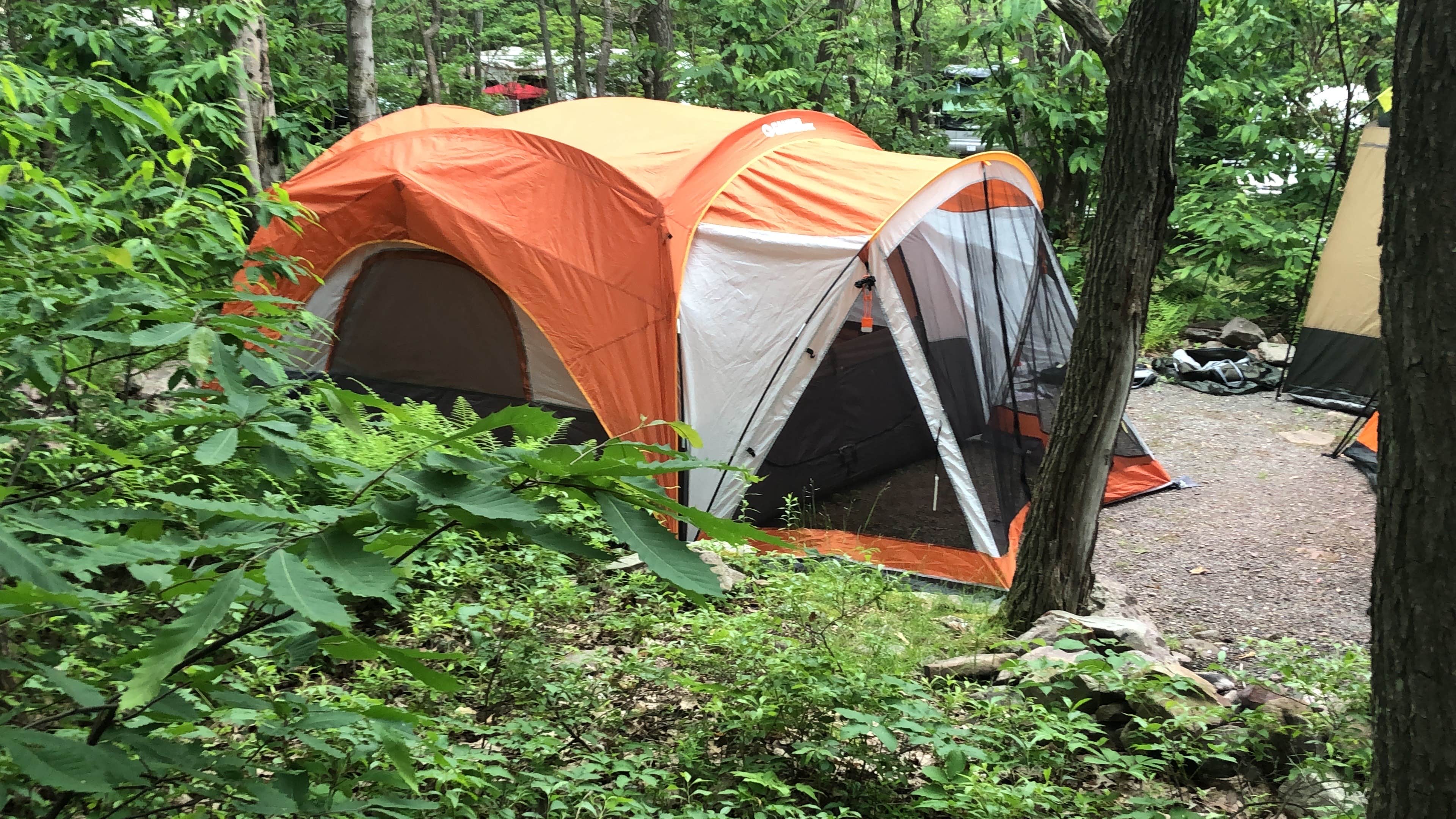 Peaceful Woodlands Campground The Dyrt