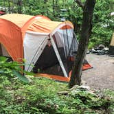 Review photo of Peaceful Woodlands Campground by Karralee B., June 29, 2020