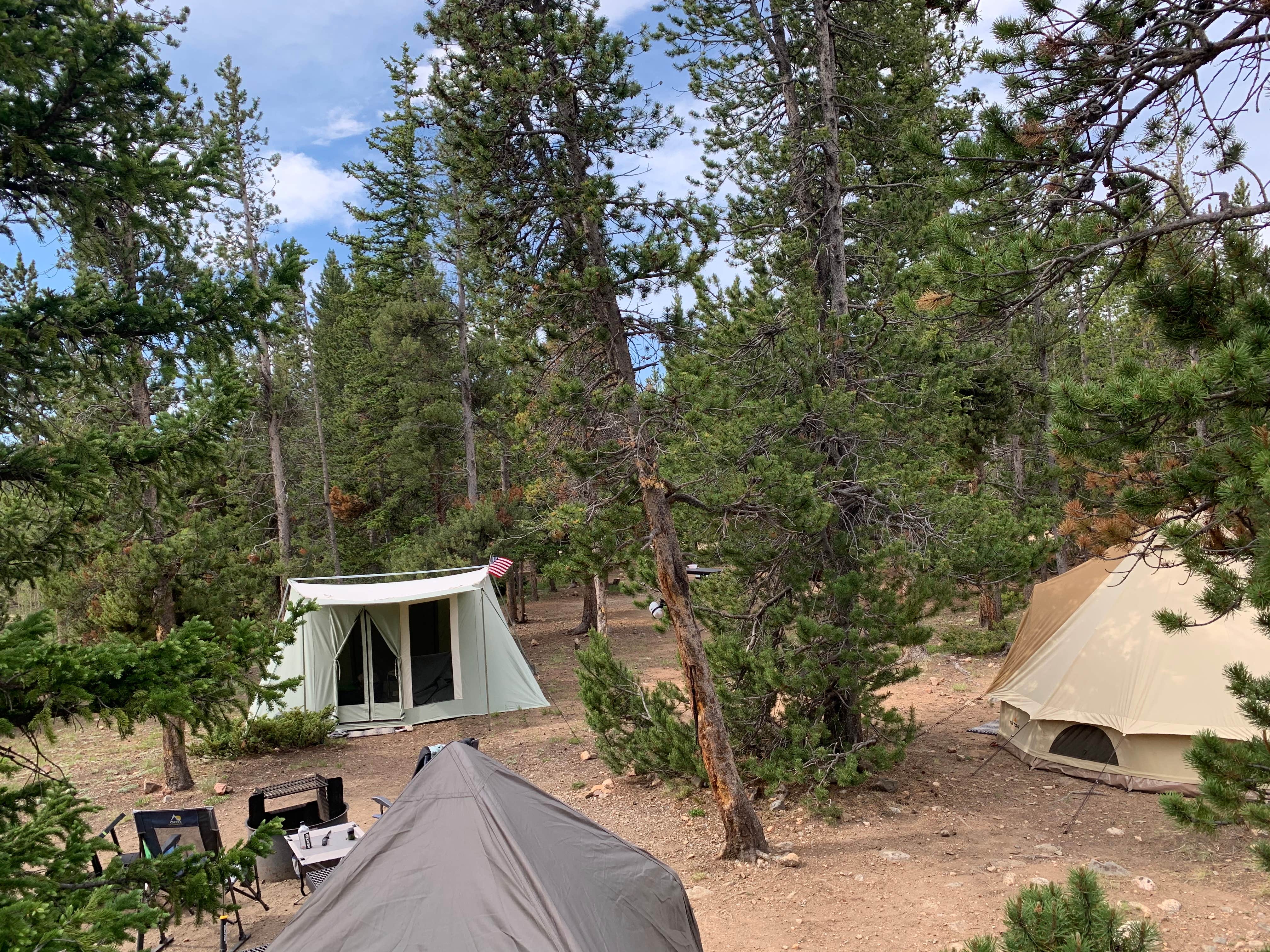 Zahru A.'s photo at Lodgepole Campground near Jefferson, CO