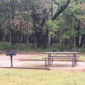 Review photo of Devil's Den State Park Campground by Annie C., November 1, 2017