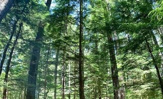 Ginger M.'s photo at Lower Falls Campground near Gifford Pinchot National Forest