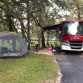 Review photo of Salt Springs Recreation Area by Lauren W., June 30, 2020