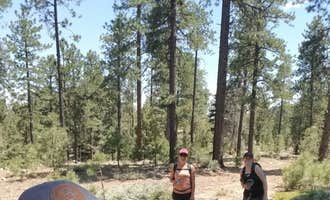 Camping near Santa Fe Treehouse Camp: Forest Road 102 Dispersed, Tesuque, New Mexico