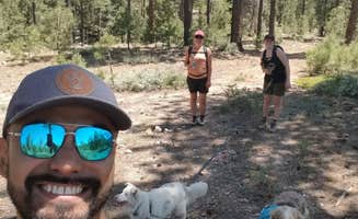Emily V.'s photo of camping with pets at Forest Road 102 Dispersed near Sapello, NM