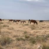 Review photo of Simpson Springs Campground by Teresa T., June 30, 2020