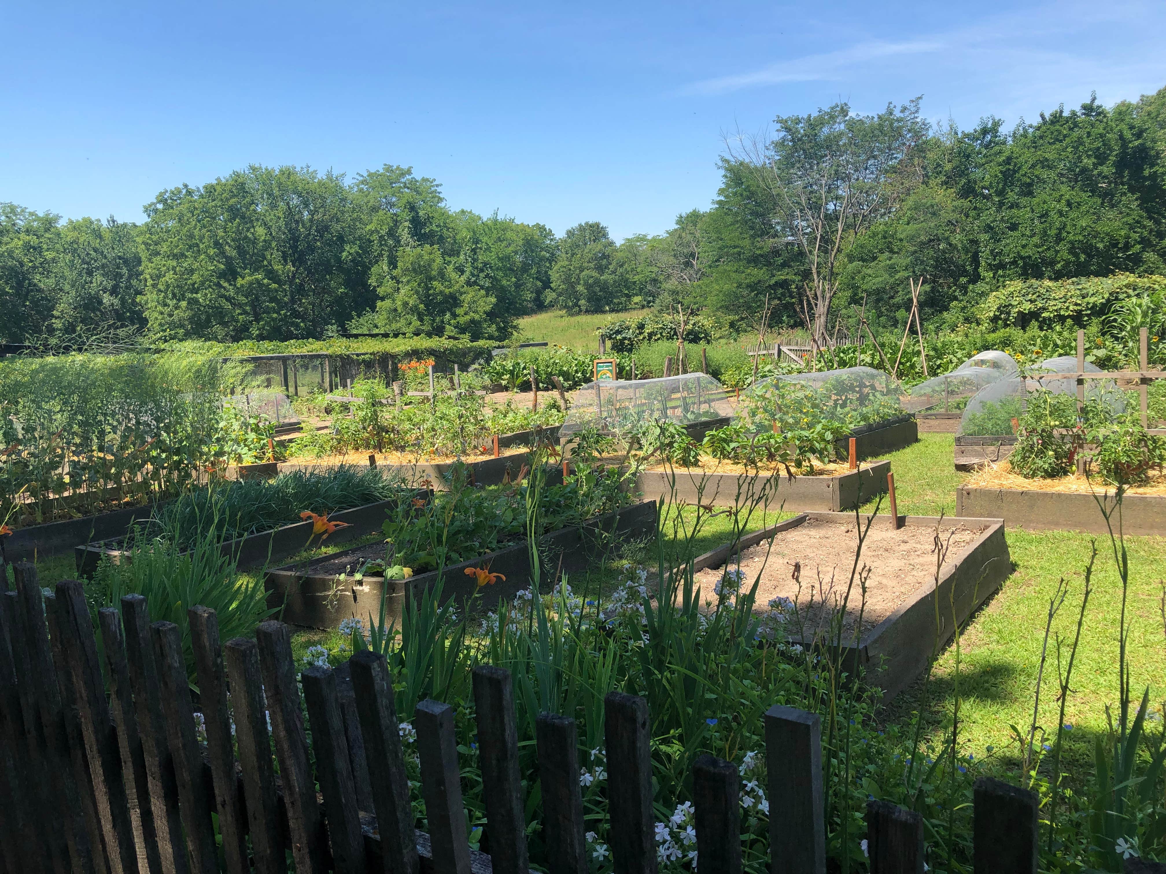 Camper-submitted photo at Watkins Mill State Park Campground near Olathe, KS