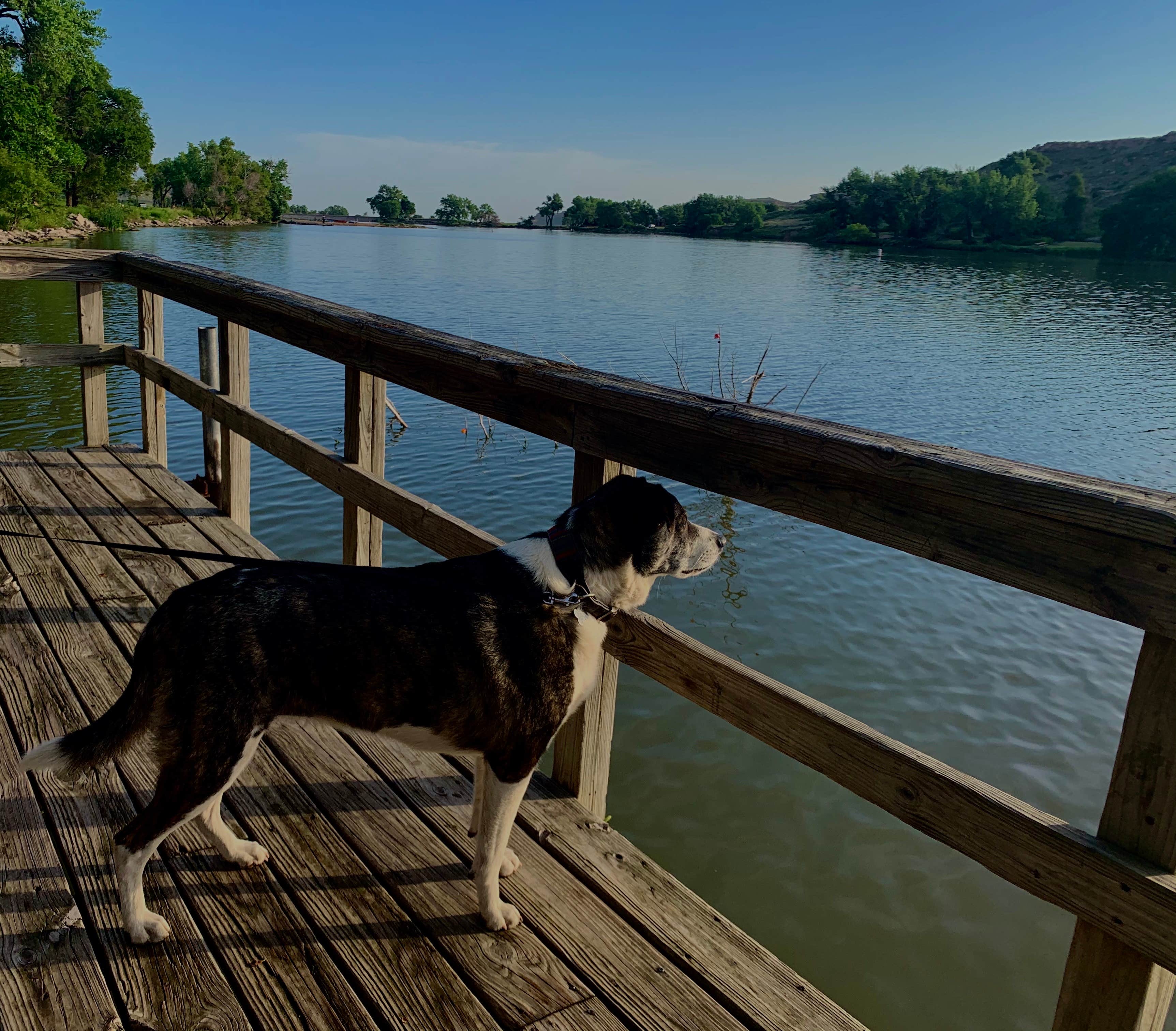 Shawn S.'s photo of camping with pets at Circle Drive — Historic Lake Scott State Park near Colby, KS