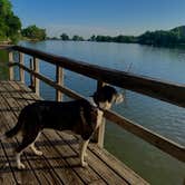 Review photo of Circle Drive — Historic Lake Scott State Park by Shawn S., June 30, 2020