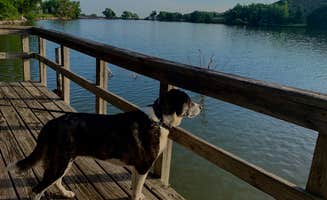 Shawn S.'s photo of camping with pets at Circle Drive — Historic Lake Scott State Park near Colby, KS