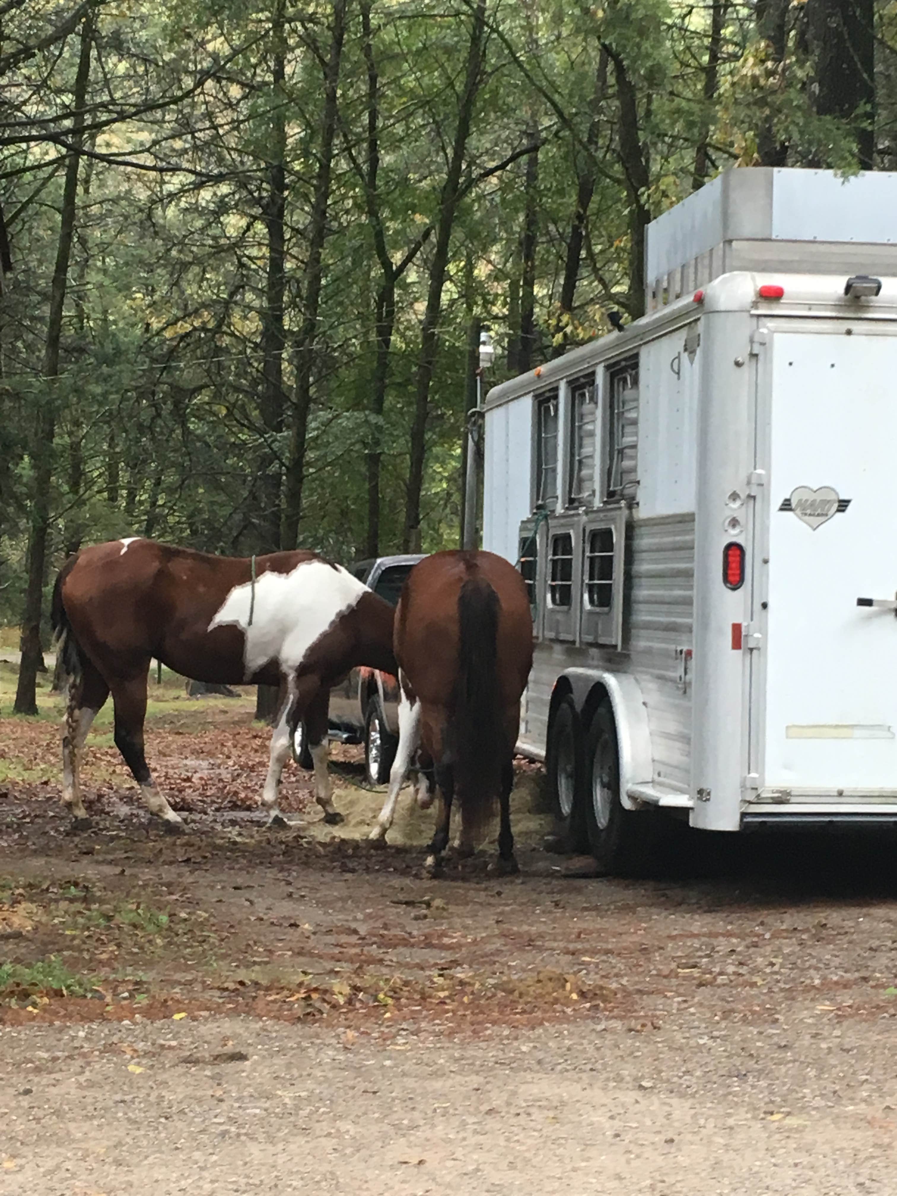 Annie C.'s photo of camping with a horse at Devil's Den State Park Campground in Arkansas