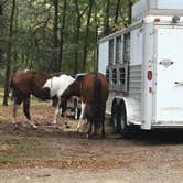 Review photo of Devil's Den State Park Campground by Annie C., November 1, 2017