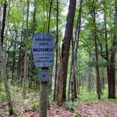 Review photo of Nordhouse Dunes Wilderness by Dare To Everywhere  ., June 30, 2020