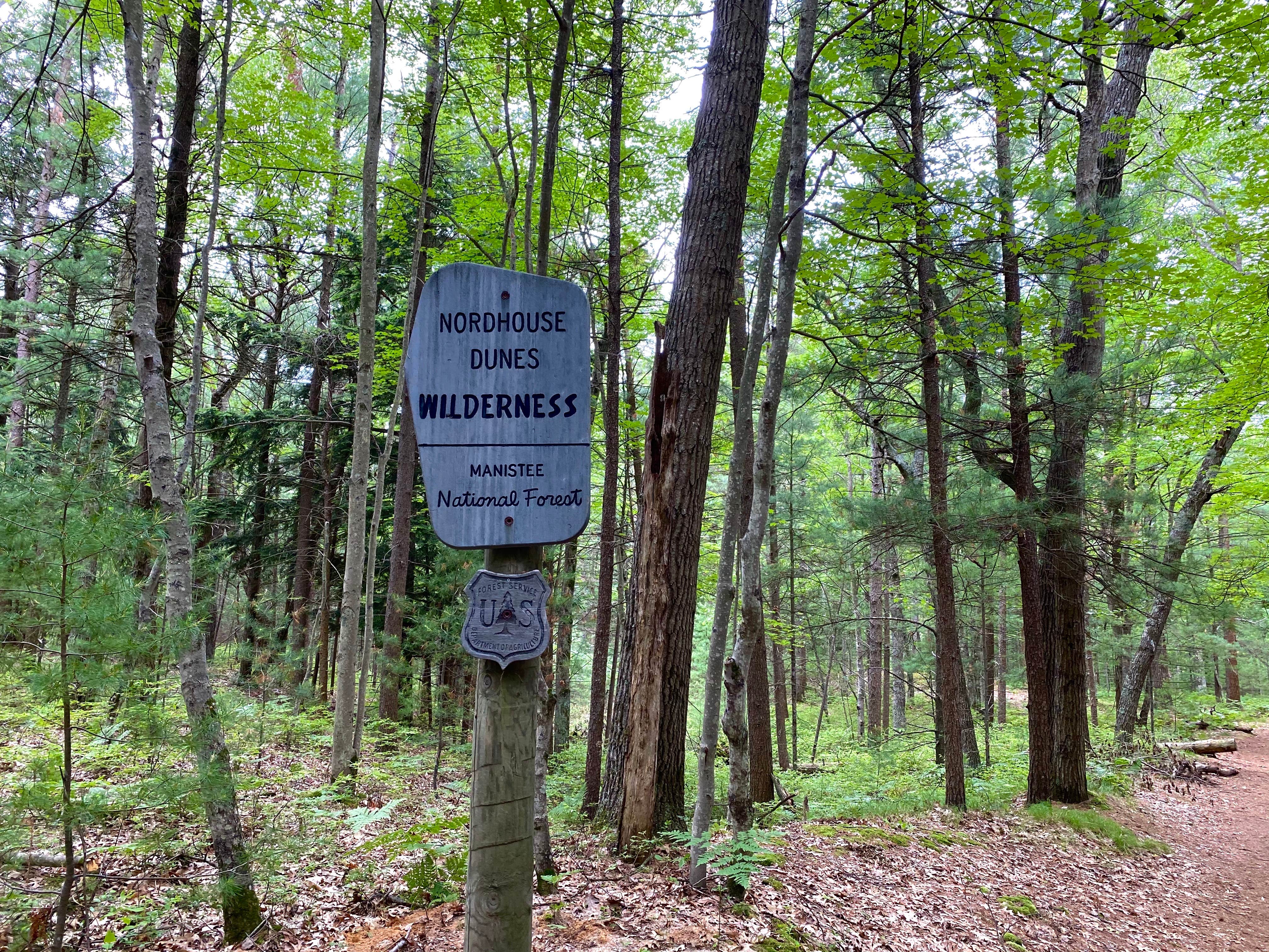 Camper submitted image from Nordhouse Dunes Wilderness - 5